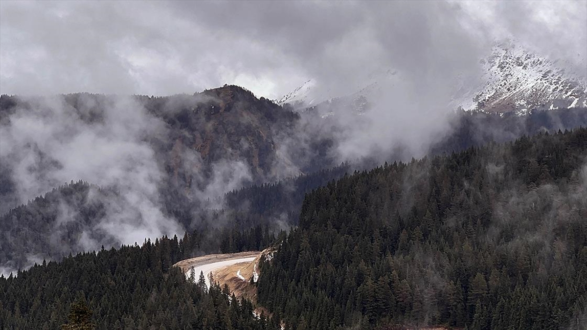 Ilgaz Dağı Kayak Merkezi’nde sis etkili oldu