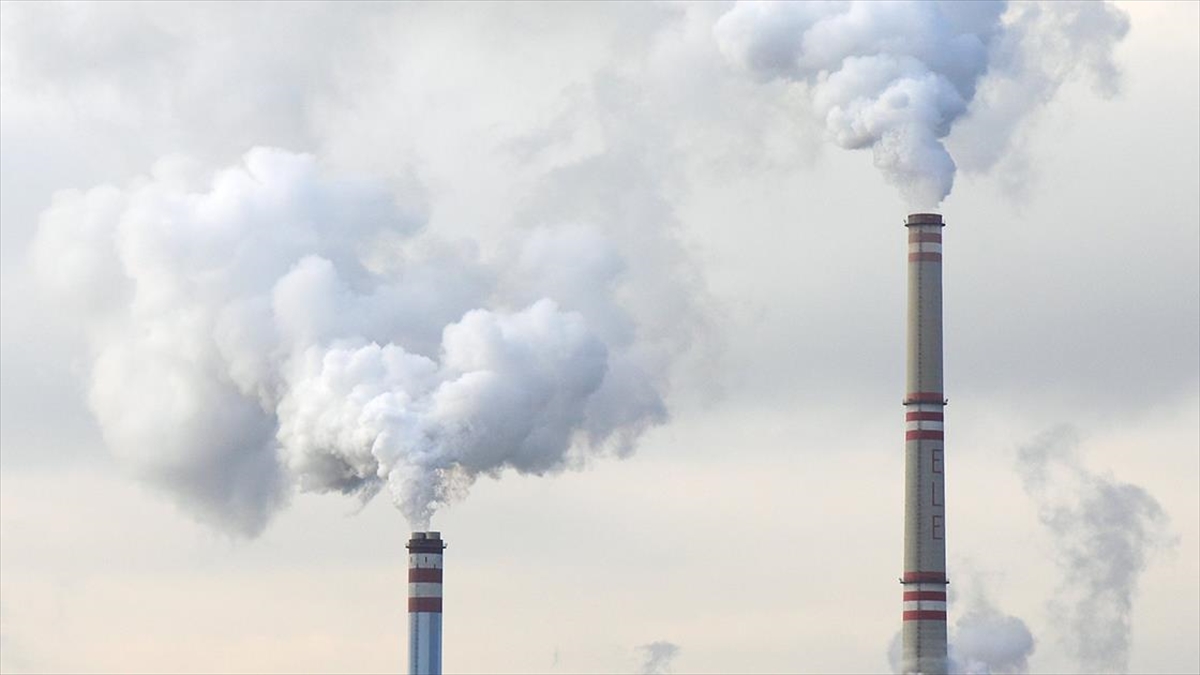 Almanya, BM İklim Zirvesi’nde fosil yakıt anlaşmasını memnuniyetle karşıladı